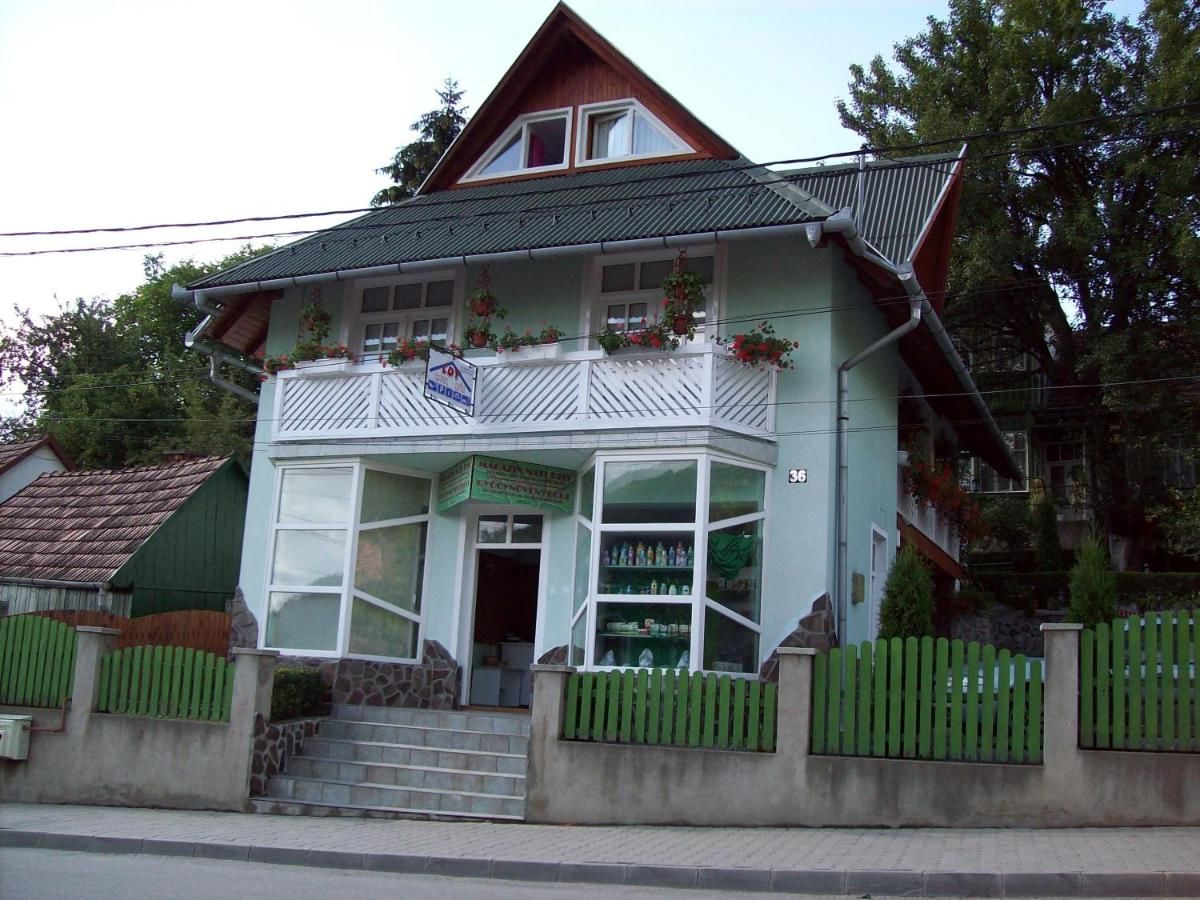 Гостевой дом Casa Edy Совата-36
